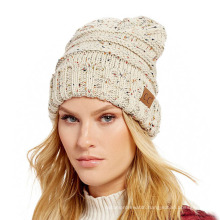 Wholesale New Style Thick Mix Color Ski Caps Knitted Beanies Hat Winter Warm Colorful Knitted Hats